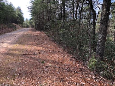 63 Deer Run, Purlear, NC 28665 photo 6
