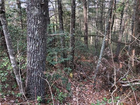 63 Deer Run, Purlear, NC 28665 photo 7