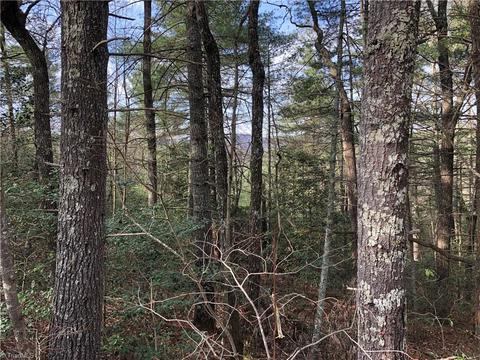 63 Deer Run, Purlear, NC 28665 photo 5
