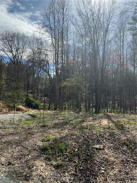 200 Mosley Loop, Madison, NC 27025 photo 6