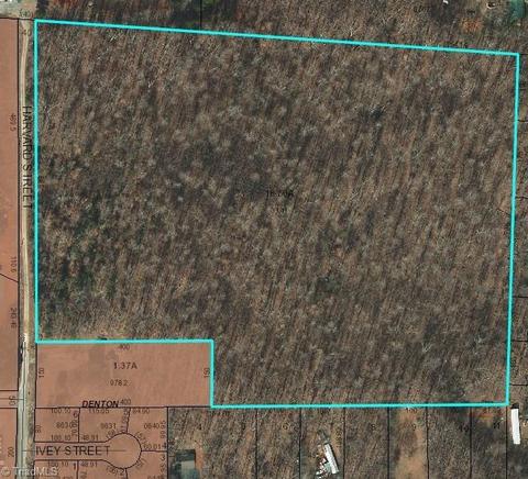 300 N Harvard St, Denton, NC 27239