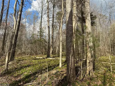 25 Ac State Line Church Rd, Westfield, NC 27053