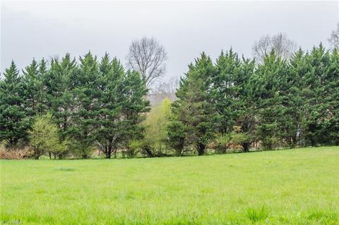 2005 Eldora Rd, Ararat, NC 27007 photo 44