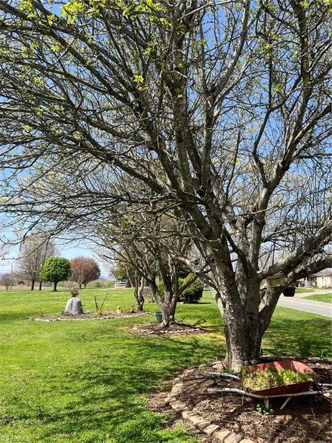 429 Flippin Rd, Lowgap, NC 27024 photo 7