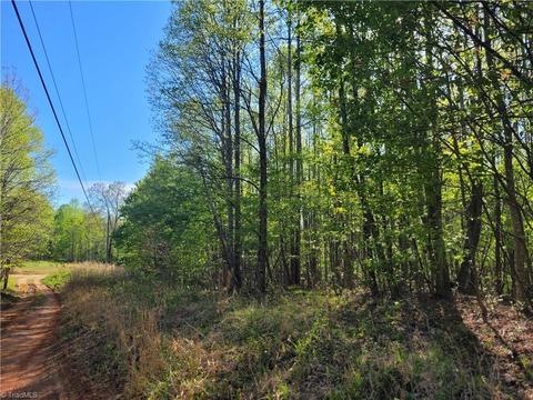 0 Blue Ridge Ln, Sandy Ridge, NC 27046
