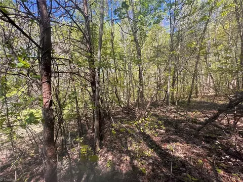 29 Burton Rd, Ruffin, NC 27320 photo 19