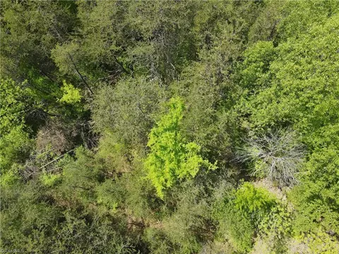 29 Burton Rd, Ruffin, NC 27320 photo 11