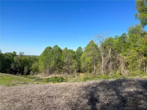 29 Burton Rd, Ruffin, NC 27320 photo 28
