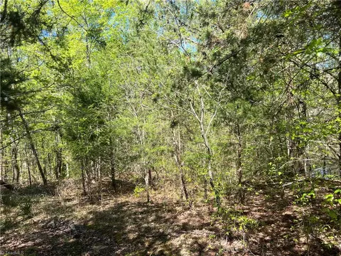 29 Burton Rd, Ruffin, NC 27320 photo 22