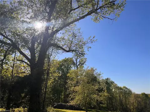 29 Burton Rd, Ruffin, NC 27320 photo 25