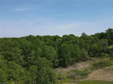 29 Burton Rd, Ruffin, NC 27320 photo 16