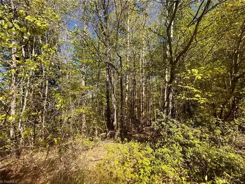 29 Burton Rd, Ruffin, NC 27320 photo 20