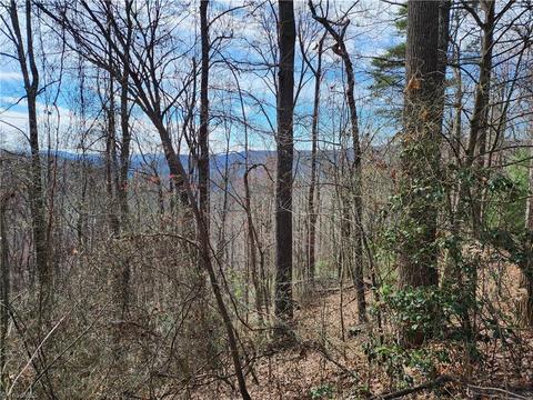 Tbd Deer Run, Purlear, NC 28665