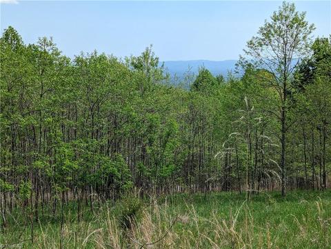 Tbd Meadow Crossing Road Lot 86, Mcgrady, NC 28649