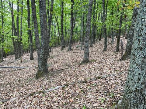 Tbd Grandview Circle, Traphill, NC 28685 photo 3