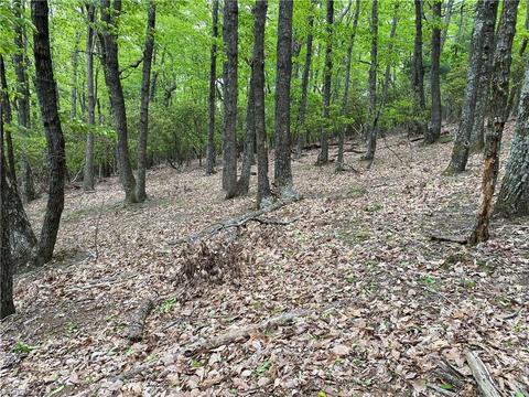 Tbd Grandview Circle, Traphill, NC 28685 photo 7