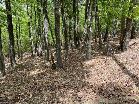 Tbd Grandview Circle, Traphill, NC 28685 photo 11