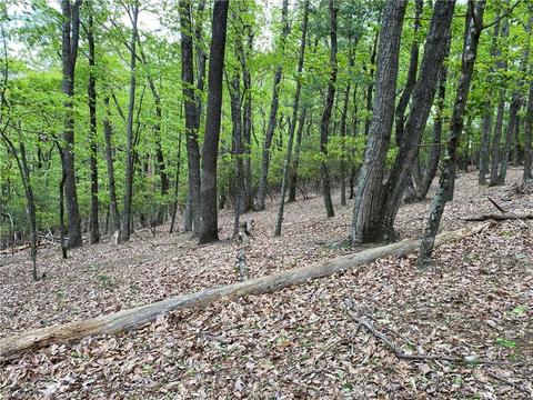 Tbd Grandview Circle, Traphill, NC 28685 photo 4