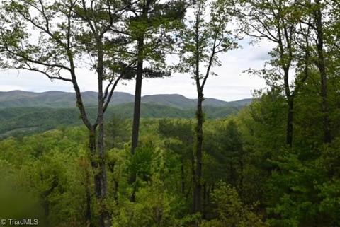 Tbd Grandview Circle, Traphill, NC 28685