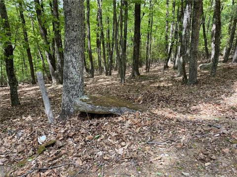 Tbd Grandview Circle, Traphill, NC 28685 photo 10