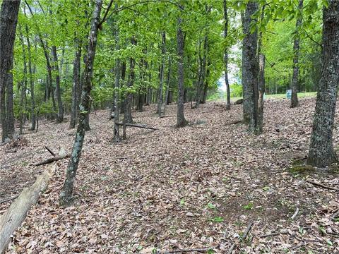 Tbd Grandview Circle, Traphill, NC 28685 photo 6