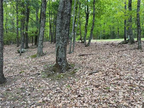 Tbd Grandview Circle, Traphill, NC 28685 photo 5