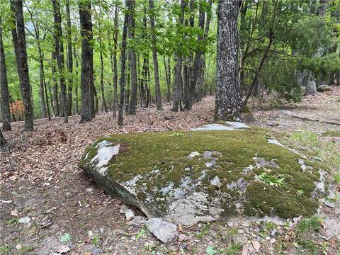 Tbd Grandview Circle, Traphill, NC 28685 photo 9