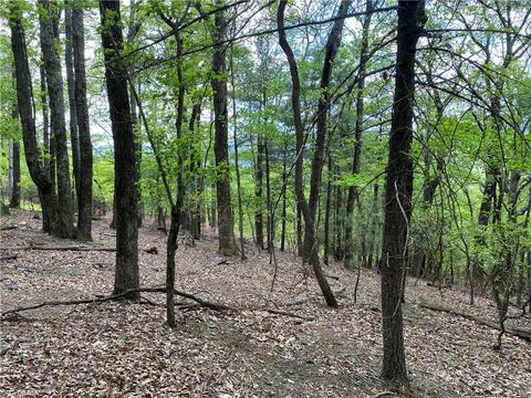 Tbd Grandview Circle, Traphill, NC 28685 photo 2