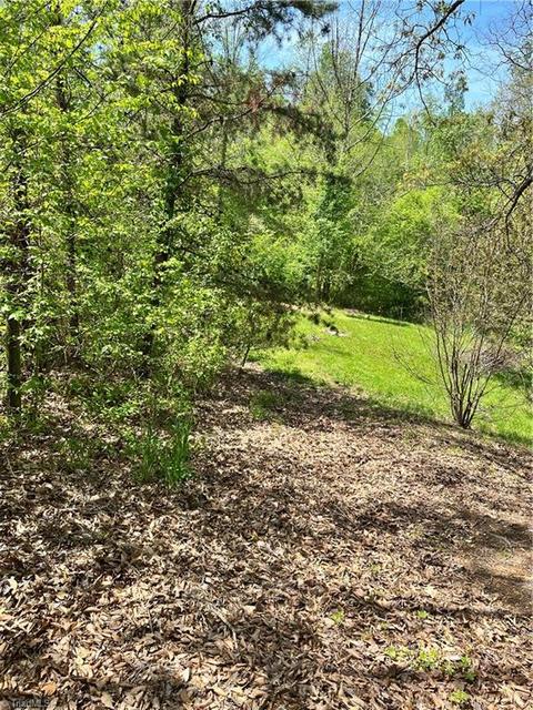 6081 Cain Forest Dr, Walkertown, NC 27051