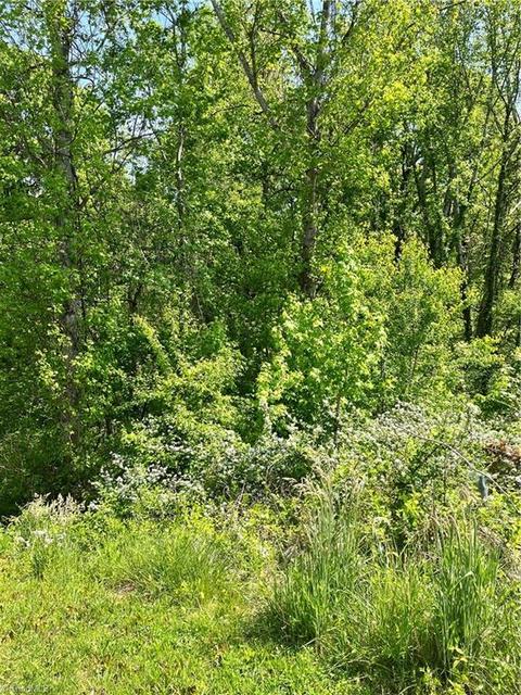 6036 Cain Forest Dr, Walkertown, NC 27051