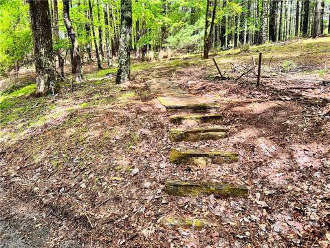 658 Jonathan Dr, Lowgap, NC 27024 photo 4