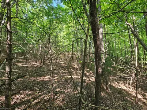Lot 2 Baldwin Drive, Lowgap, NC 27024 photo 7