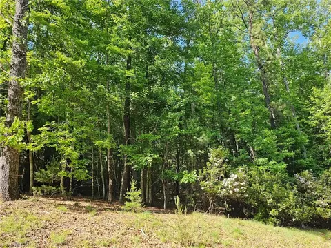 Lot 2 Baldwin Drive, Lowgap, NC 27024 photo 10