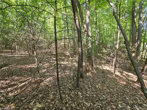 Lot 2 Baldwin Drive, Lowgap, NC 27024 photo 9