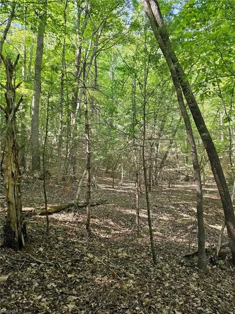Lot 2 Baldwin Drive, Lowgap, NC 27024 photo 11