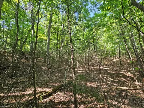 Lot 2 Baldwin Drive, Lowgap, NC 27024 photo 8