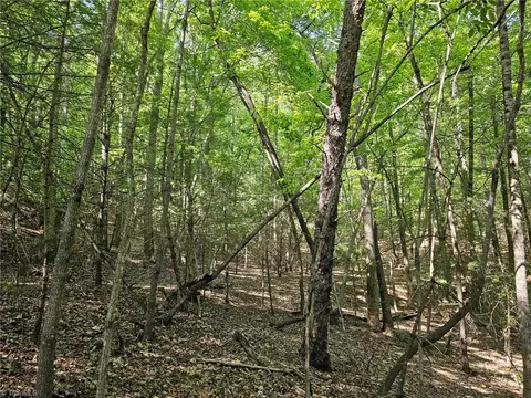 Lot 2 Baldwin Drive, Lowgap, NC 27024 photo 3