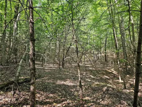 Lot 2 Baldwin Drive, Lowgap, NC 27024 photo 5