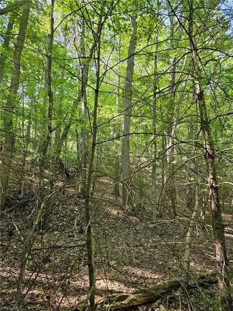 Lot 2 Baldwin Drive, Lowgap, NC 27024 photo 6