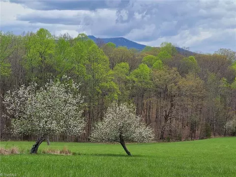 Lot 2 Baldwin Drive, Lowgap, NC 27024