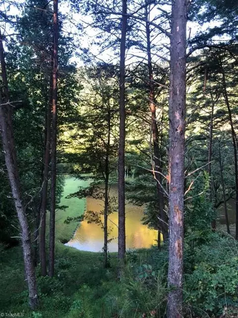 Lot 2 Baldwin Drive, Lowgap, NC 27024 photo 30