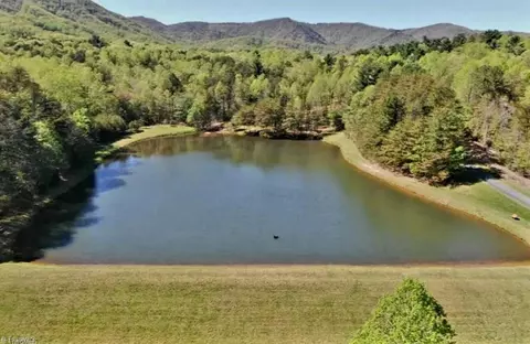 Lot 2 Baldwin Drive, Lowgap, NC 27024 photo 18