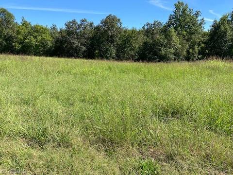 200 Dale Ridge Ln, Lexington, NC 27292