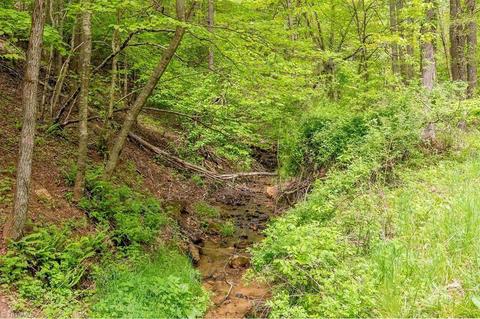 853 SE Cannady School Rd, Floyd, VA 24091