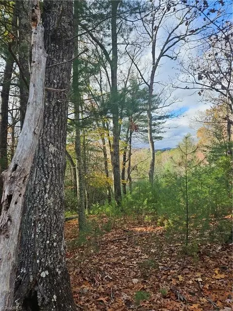 0 Sutters Ridge Lt 112 Rock Wall Rd, Mcgrady, NC 28649