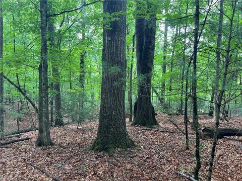 00 Cedar Trl #1.80 AC, Mount Airy, NC 27030