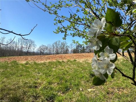 8 Ac Nc Highway 8 N, Lawsonville, NC 27022