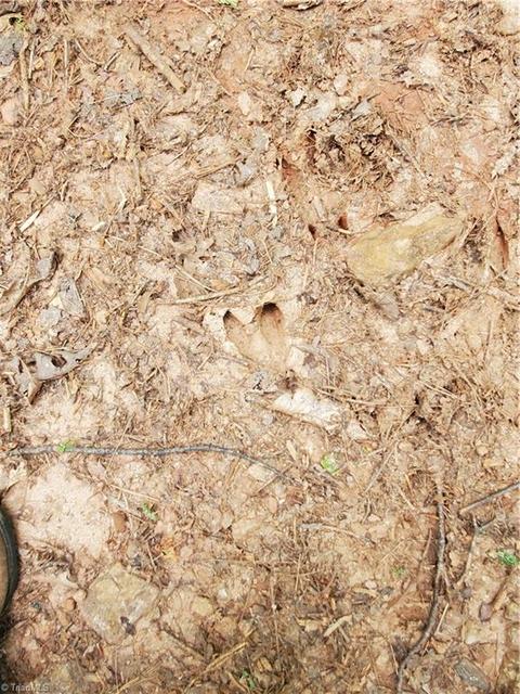 0000 Haystack Rd, Thurmond, NC 28683 photo 19