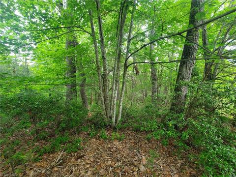 0000 Haystack Rd, Thurmond, NC 28683 photo 11