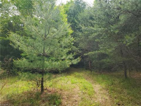 0000 Haystack Rd, Thurmond, NC 28683 photo 14